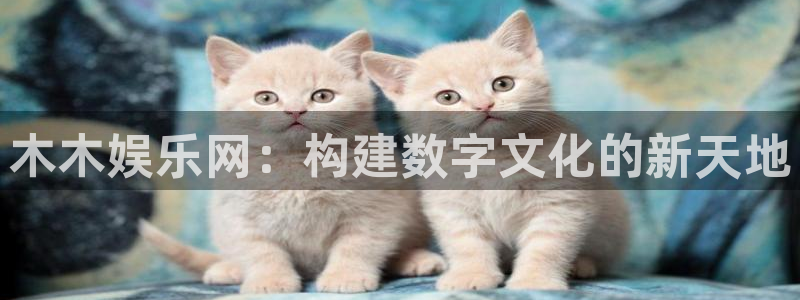 辉达娱乐2官网：木木娱乐网：构建数字文化的新天地