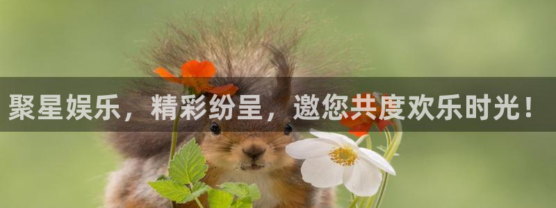 辉达娱乐娱乐：聚星娱乐，精彩纷呈，邀您共度欢乐时光！