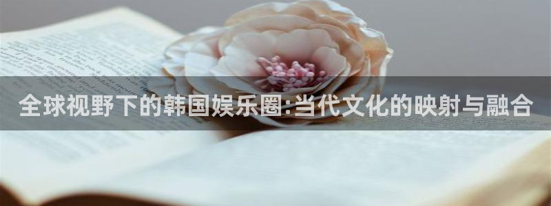 辉达娱乐平台注册：全球视野下的韩国娱乐圈:当代文化的映射与融合