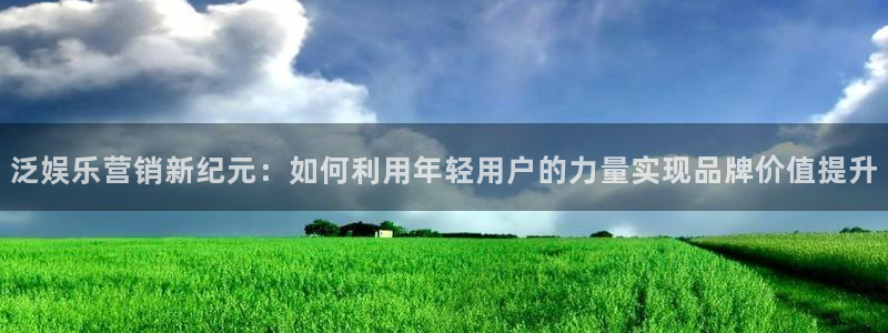 辉达娱乐注册入口：泛娱乐营销新纪元：如何利用年轻用户的力量实现品牌价值提升