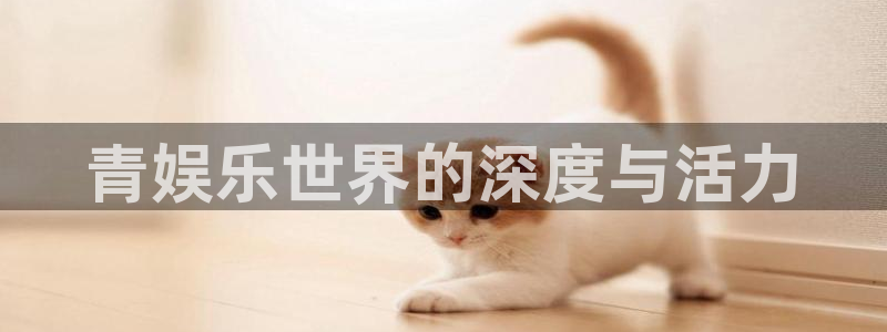 辉达娱乐手机版下载