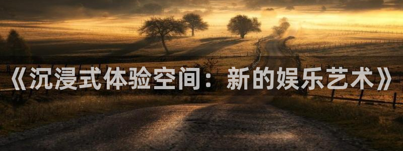 辉达娱乐体育官网：《沉浸式体验空间：新的娱乐艺术》
