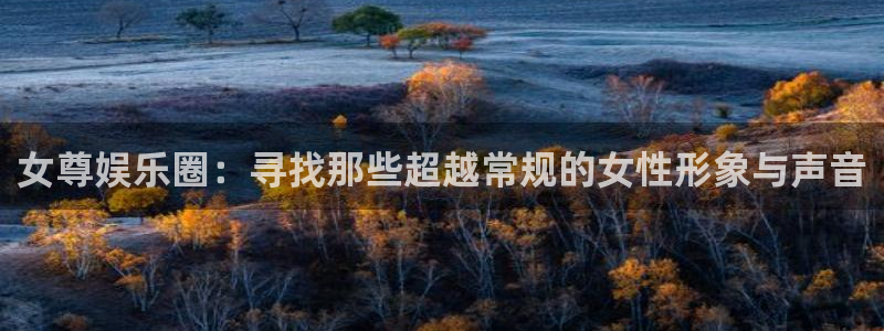 辉达娱乐赏金女王：女尊娱乐圈：寻找那些超越常规的女性形象与声音