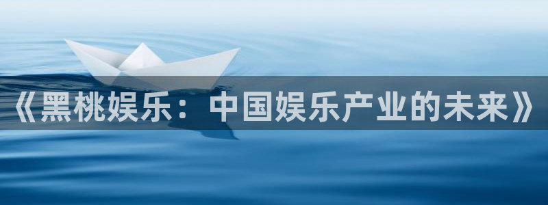 辉达娱乐3登录：《黑桃娱乐：中国娱乐产业的未来》