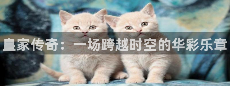 辉达娱乐手机客户端下载安装：皇家传奇：一场跨越时空的华彩乐章