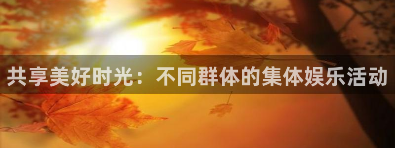 辉达娱乐体育官网登录：共享美好时光：不同群体的集体娱乐活动